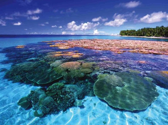 อันดับที่ 7 Marshall Islands มีพื้นที่ 181 ตารางกิโลเมตร